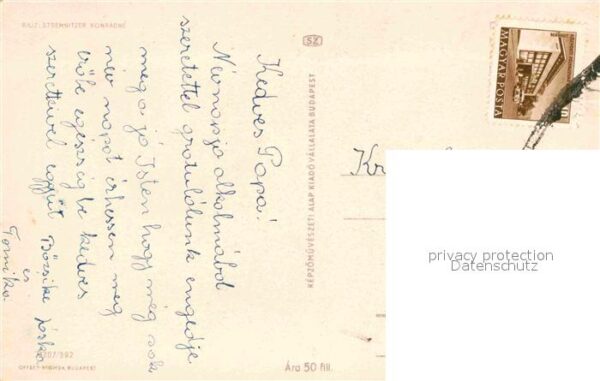 Rosen Nelke – Bild 2