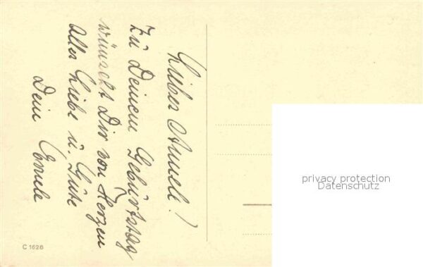 Rosen – Bild 2