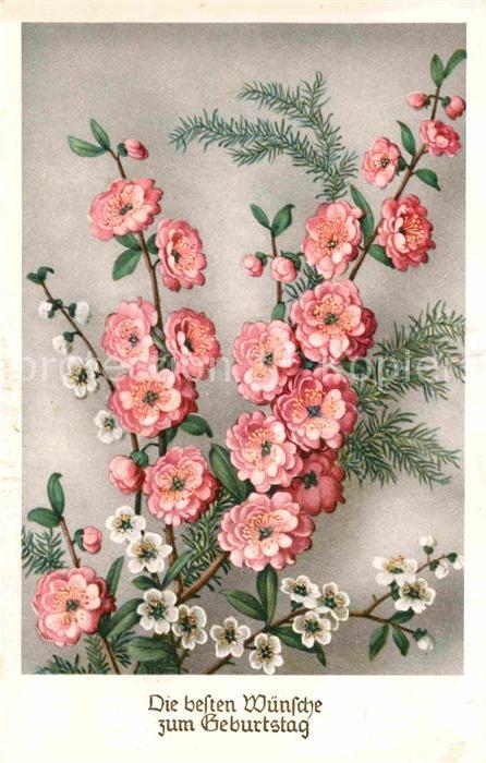 Geburtstag Blumen Glückwunsch
