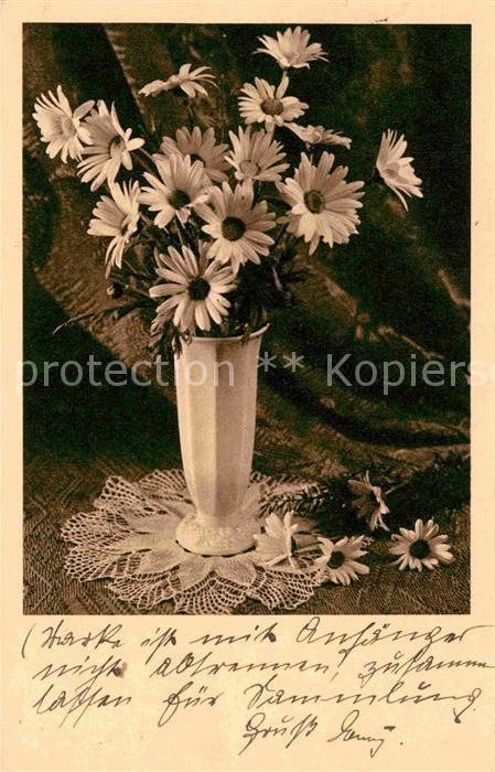 Blumen Margeriten Vase