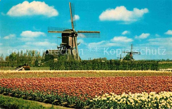 Windmuehle Holland