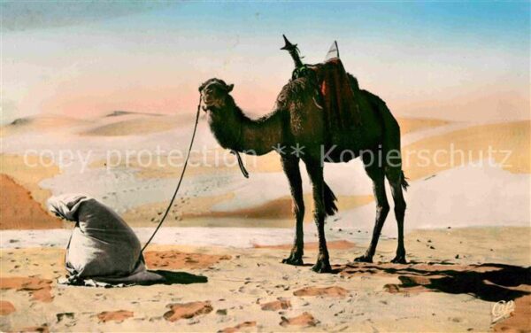 Scenes et Types Nr. 1119 Priere au Desert Kamel