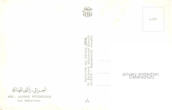 Kamel  Camel Chameau Algerie Les Meharistes – Bild 2