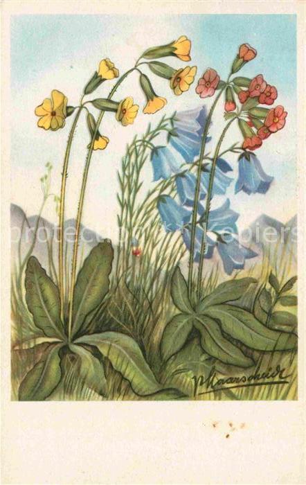 Blumen Künstlerkarte