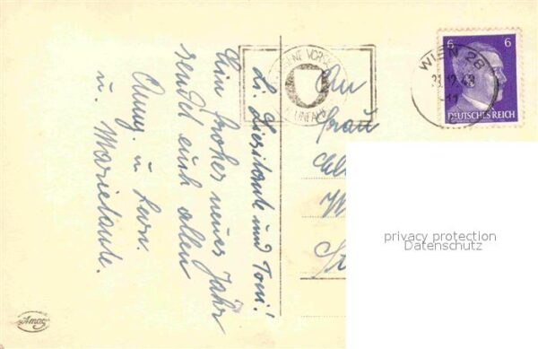 Reh – Bild 2