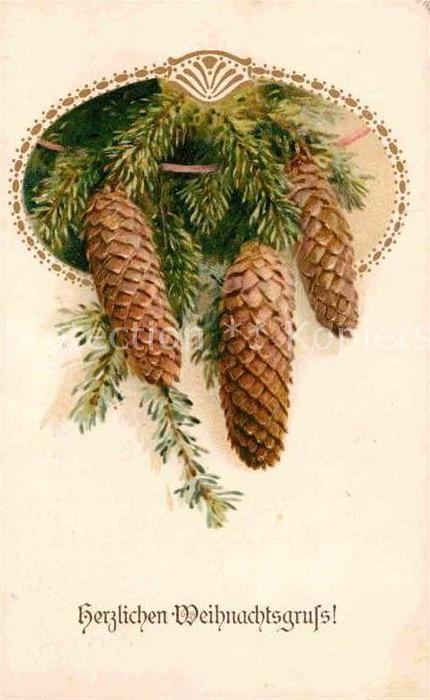 Weihnachten Tannenzapfen Litho