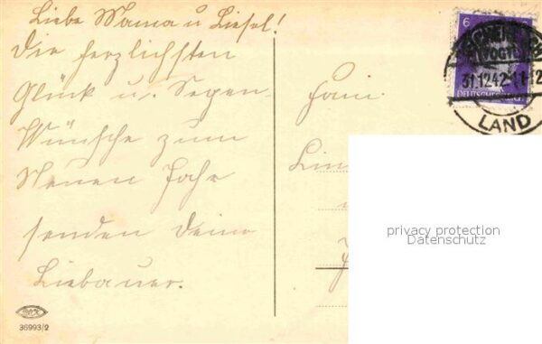 Rosen – Bild 2