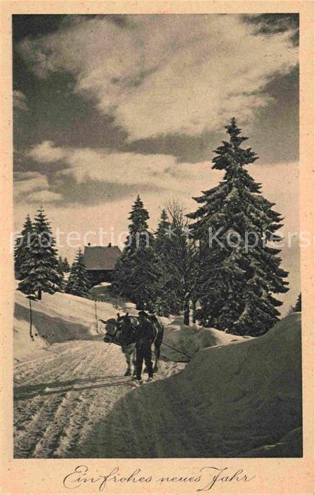 Neujahr Kuh Schnee