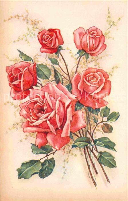 Rosen