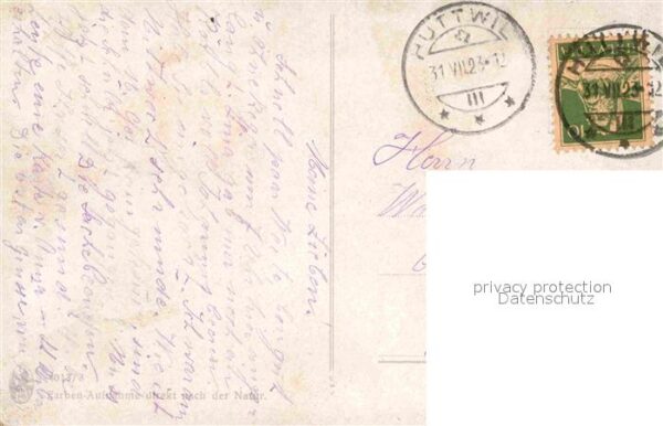 Maigloeckchen – Bild 2