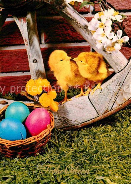 Ostern Easter Paques Küken Ostereier