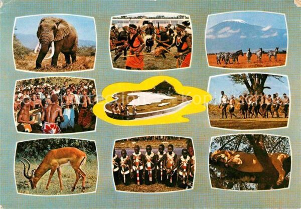 Tiere East African Game and Tribes Elefant Ze