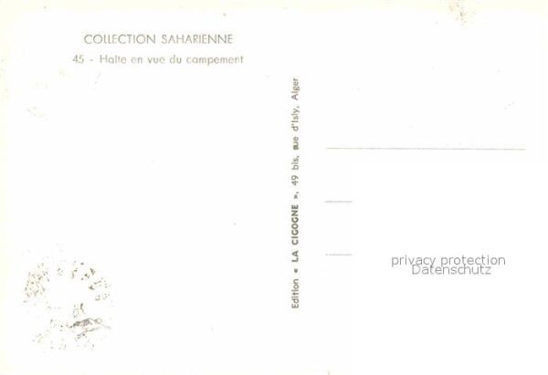 Kamel  Camel Chameau Halte en vue du Campement – Bild 2