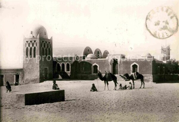 Kamel  Camel Chameau Bordj dans le Desert