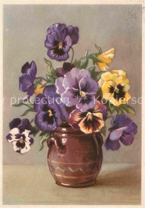Blumen Stiefmütterchen Vase Künstlerkarte