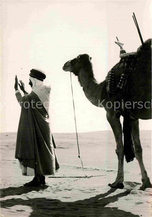 Typen Arabien Priere du Soir Kamel