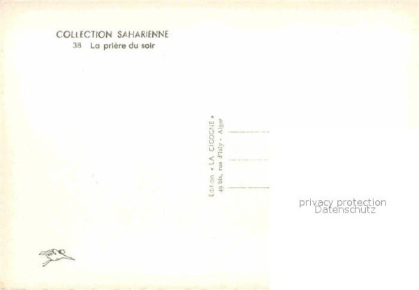 Typen Arabien Priere du Soir Kamel – Bild 2