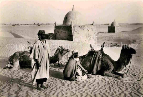 Typen Arabien Chameliers en Prieres Kamele