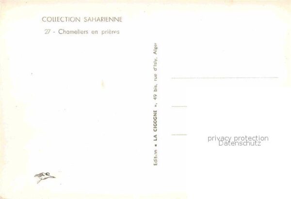 Typen Arabien Chameliers en Prieres Kamele – Bild 2