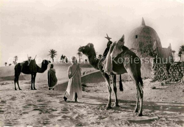 Typen Arabien Etape au Marabout Kamele
