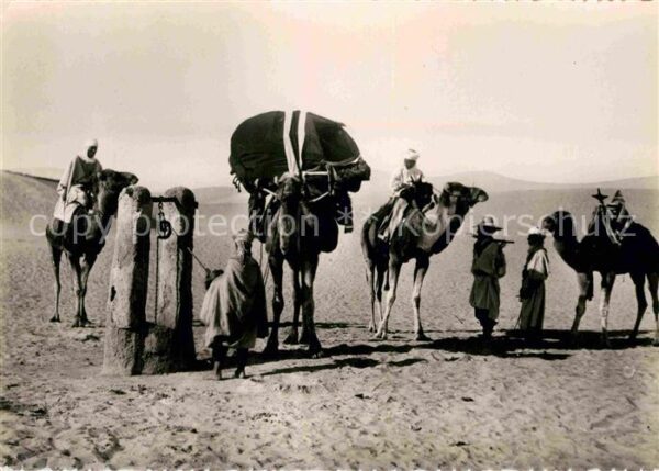 Typen Arabien Arrivee au Puits Kamele