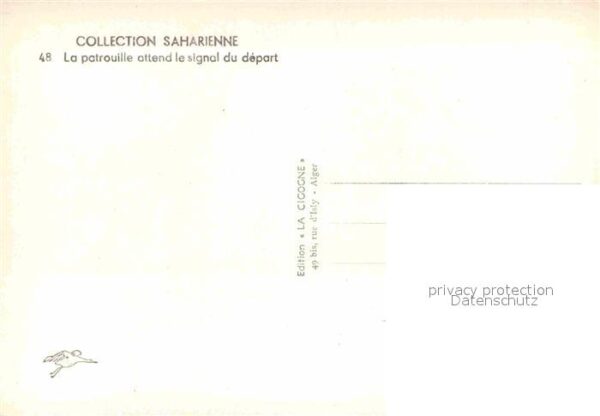 Kamel  Camel Chameau Patrouille – Bild 2