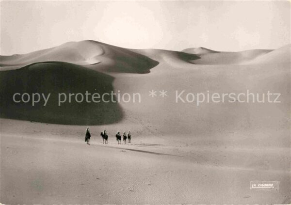 Kamel  Camel Chameau Immensite des Sables