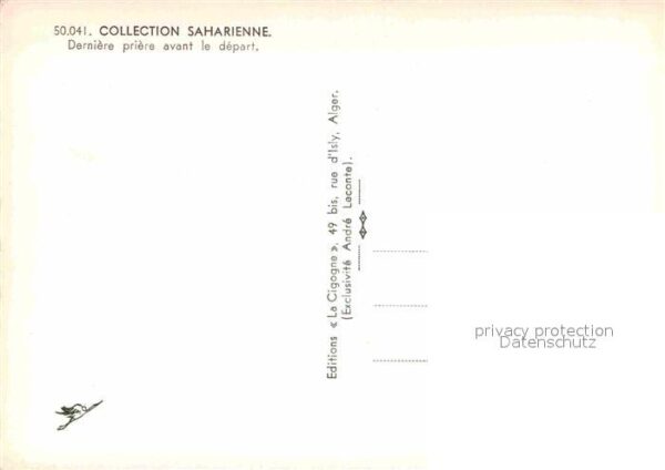 Kamel  Camel Chameau Derniere priere – Bild 2