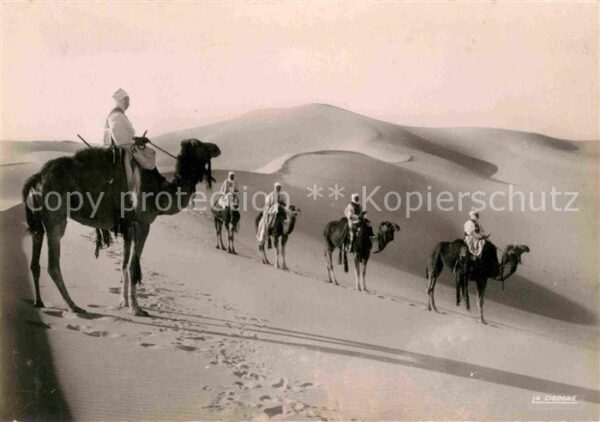 Kamel  Camel Chameau Patrouille en Observation