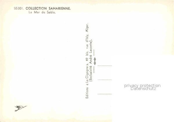 Kamel  Camel Chameau Mer de Sable – Bild 2