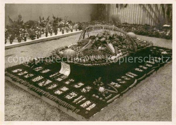Ausstellung Gemüse