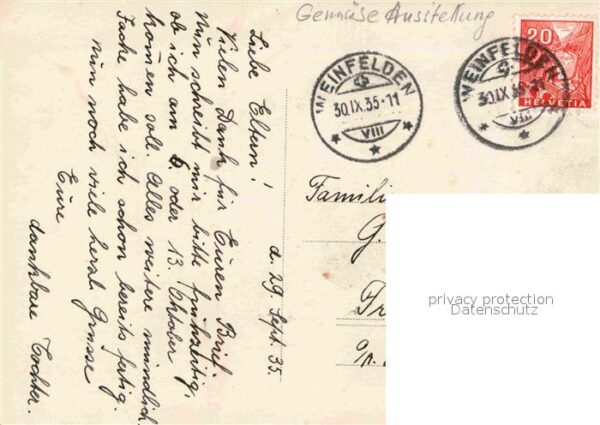 Ausstellung Gemüse – Bild 2
