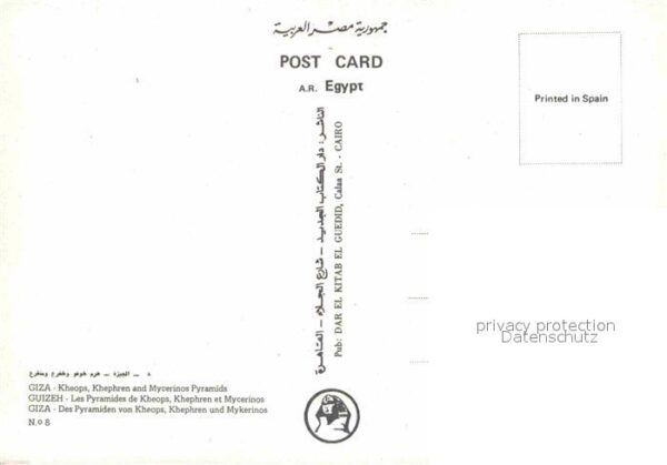 Kamel  Camel Chameau Giza Pyramiden Kheops Khephren Mykerino – Bild 2