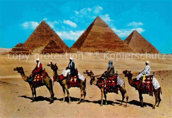 Kamel  Camel Chameau Camel Caravan Giza Pyramids