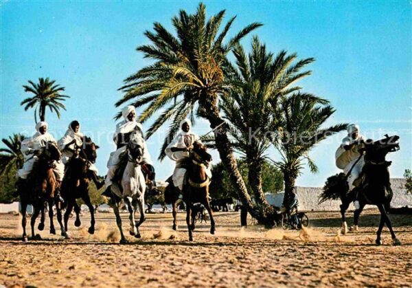 Pferde Tunisie Fantasia
