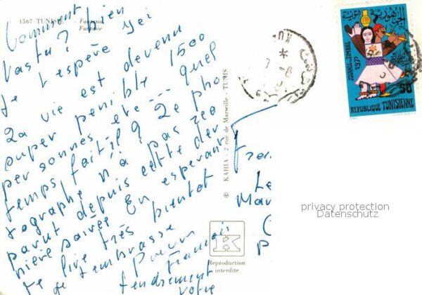 Pferde Tunisie Fantasia – Bild 2