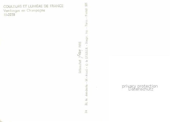 Ernte Landwirtschaft Traubenlese Vendanges Champagne – Bild 2