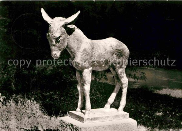 Esel Tiere Denkmal Badenweiler