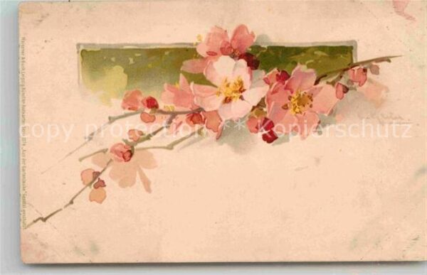 Klein Catharina Kuenstlerlitho Blumen Litho