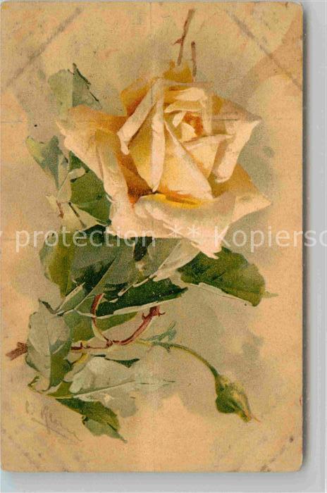 Klein Catharina Kuenstlerlitho Gelbe Rose Litho