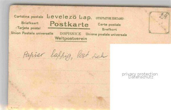 Klein Catharina Kuenstlerlitho Gelbe Rose Litho – Bild 2