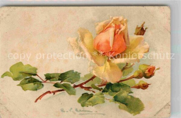 Klein Catharina Kuenstlerlitho Rosen Litho