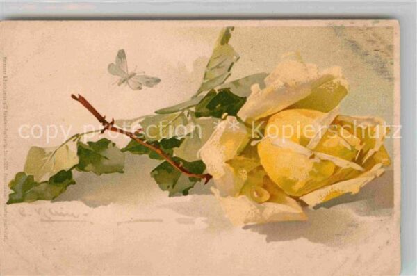 Klein Catharina Kuenstlerlitho Gelbe Rose Litho