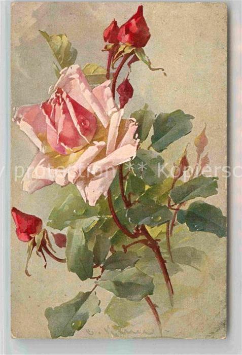 Klein Catharina Kuenstlerlitho Rosen