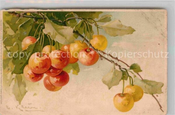 Klein Catharina Kuenstlerlitho Kirschen Litho