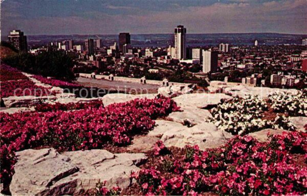 Hamilton Ontario Sam Lawrence Park overlooking Hamilton