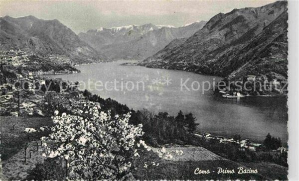 Como Lago di Como Primo Bacino Comer See Alpenpanorama