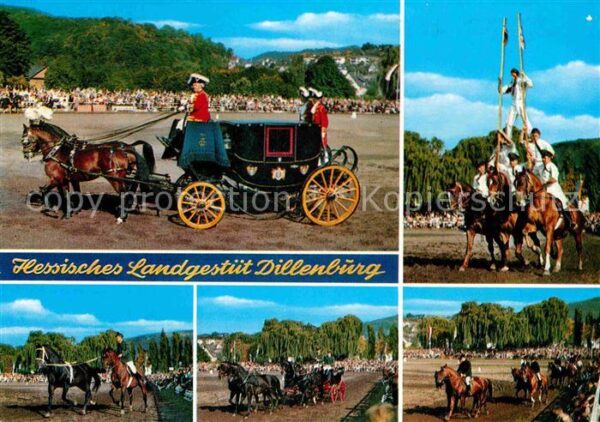Dillenburg Hengstparade Hessisches Landgestüt Pfer