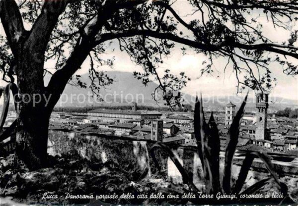 Lucca Panorama parziale della citta dalla cim