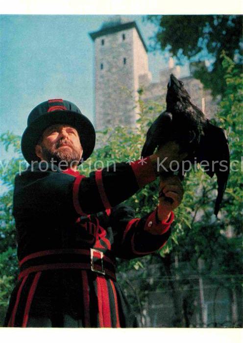 London Tower of London Ravenmaster with one th